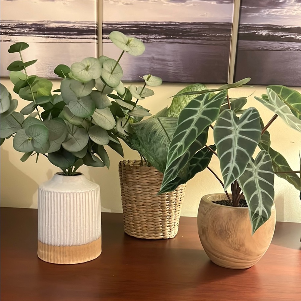 Natural Wood and Ceramic Planter Set with Faux Plants